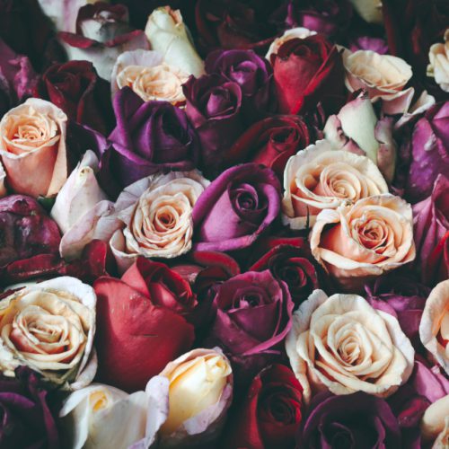 Blumen zur Hochzeit Blumen zur Hochzeit